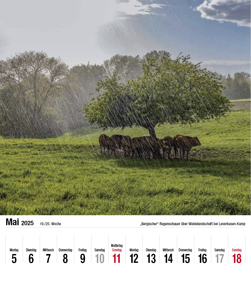 Bild: 9783910690011 | Schönes Bergisches Land 2025 | GmbH | Kalender | 28 S. | Deutsch