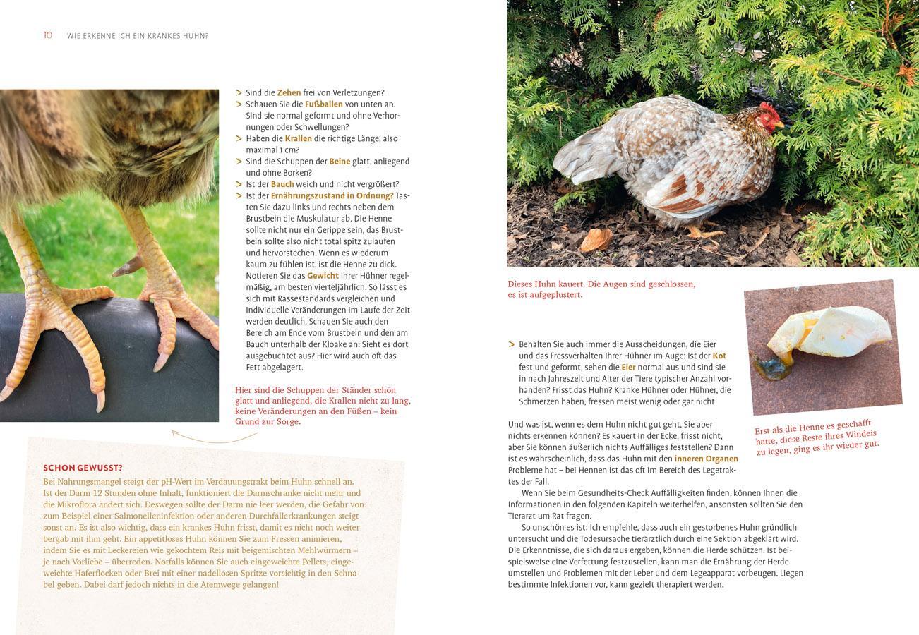 Bild: 9783818622237 | Hilfe, mein Huhn niest! | Katrin Sewerin | Taschenbuch | 128 S. | 2024