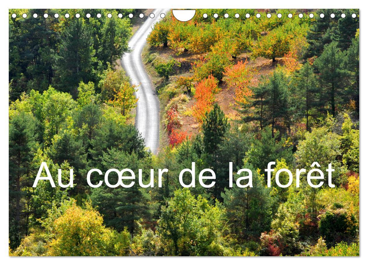 Cover: 9781325938544 | Au c¿ur de la forêt (Calendrier mural 2025 DIN A4 vertical),...