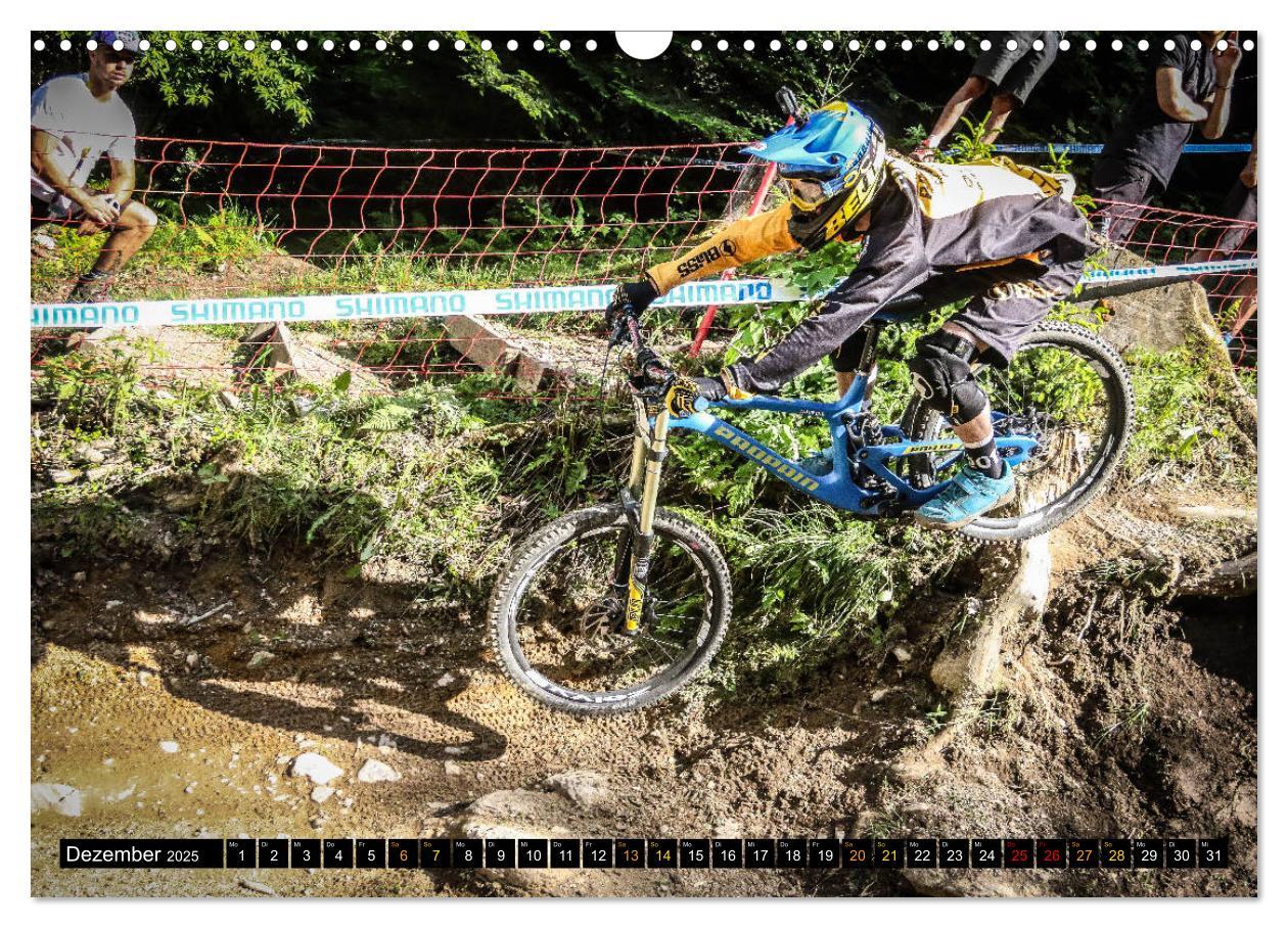 Bild: 9783435367115 | Downhill Racing (Wandkalender 2025 DIN A3 quer), CALVENDO...