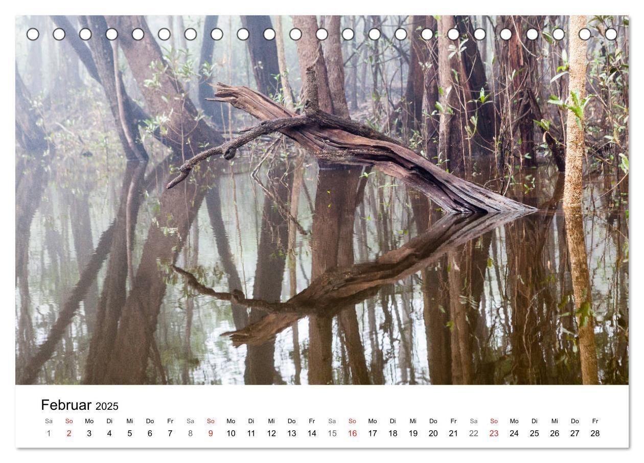 Bild: 9783435335992 | Mythos Amazonas - Naturparadies Brasiliens (Tischkalender 2025 DIN...