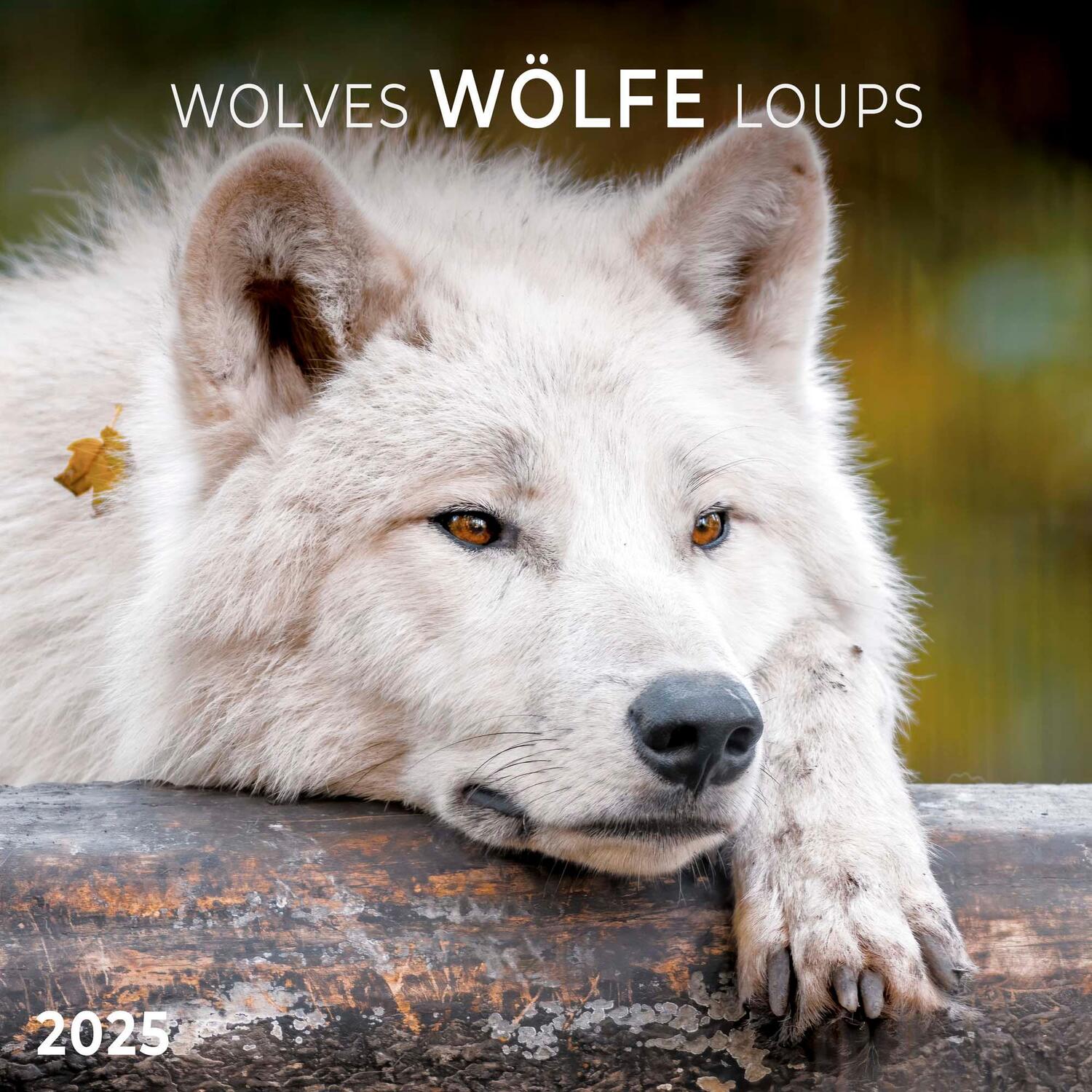 Cover: 9783959294614 | Wolves/Wölfe 2025 | Kalender 2025 | Kalender | Artwork Edition | 28 S.