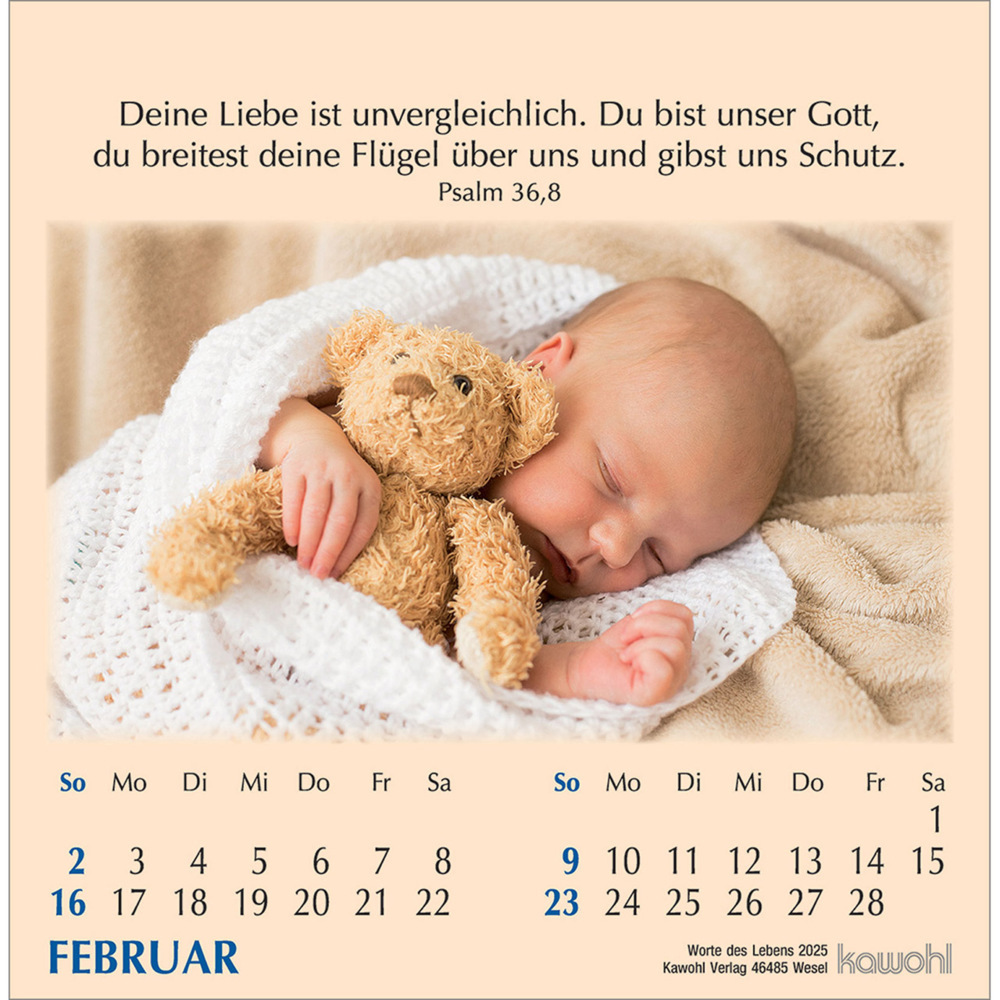 Bild: 9783754890059 | Worte des Lebens 2025 | Kalender | Spiralbindung. Spiralbindung | 2025