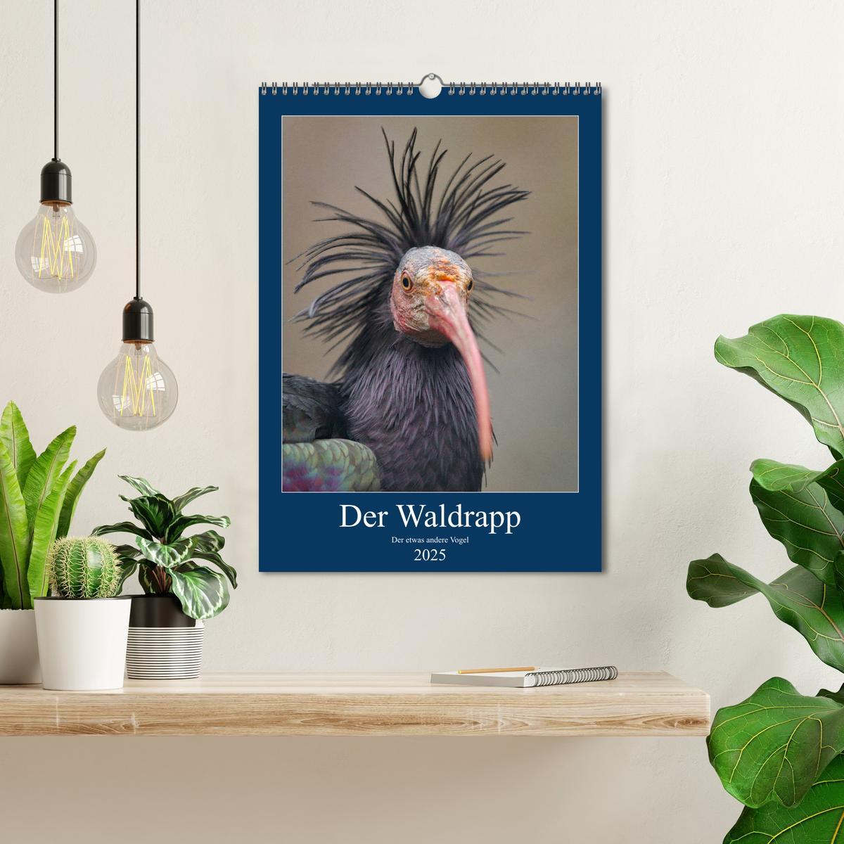 Bild: 9783435943678 | Der Waldrapp - Der etwas andere Vogel (Wandkalender 2025 DIN A3...