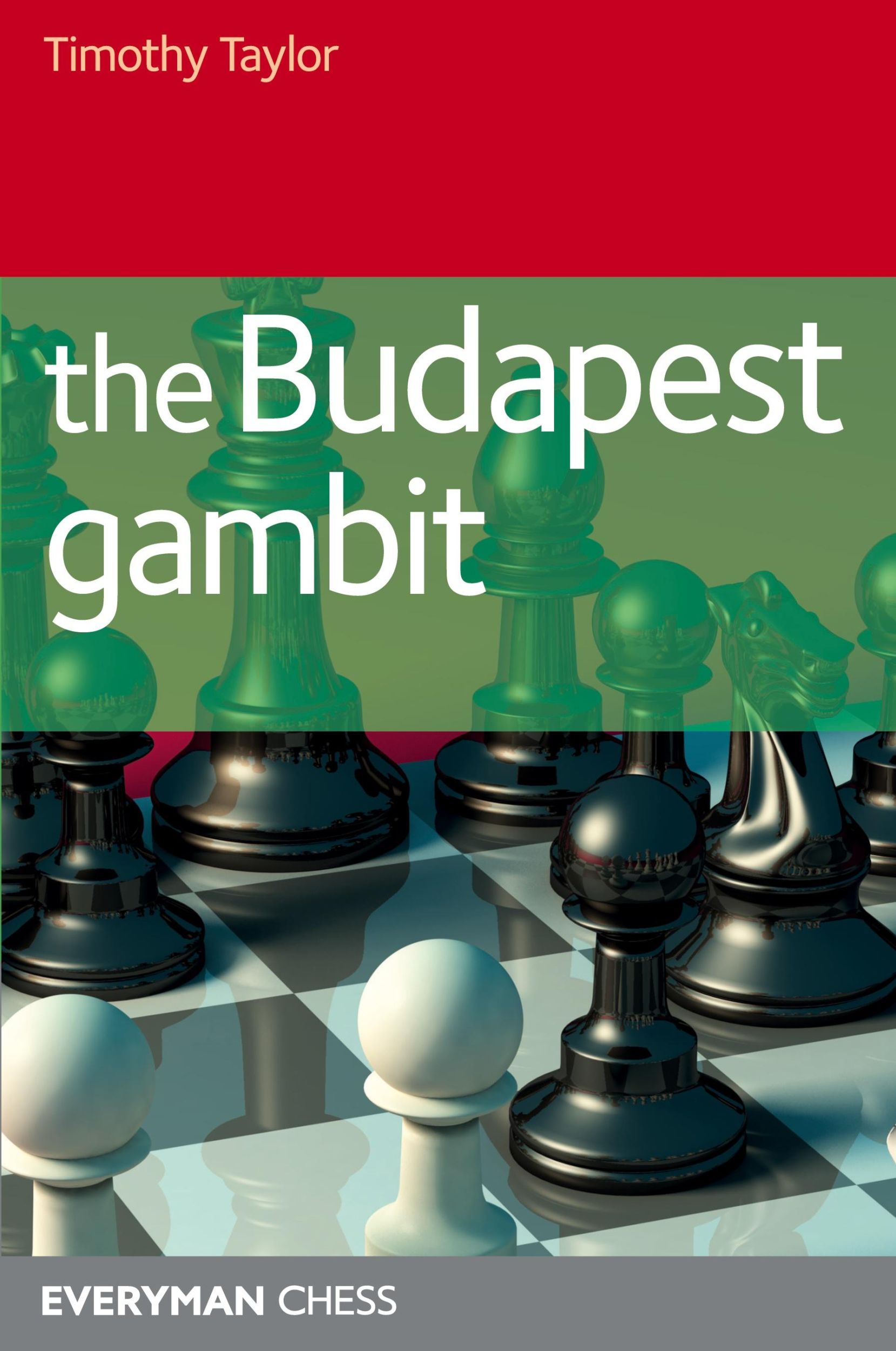 Cover: 9781857445923 | The Budapest Gambit | Timothy Taylor | Taschenbuch | Englisch | 2009