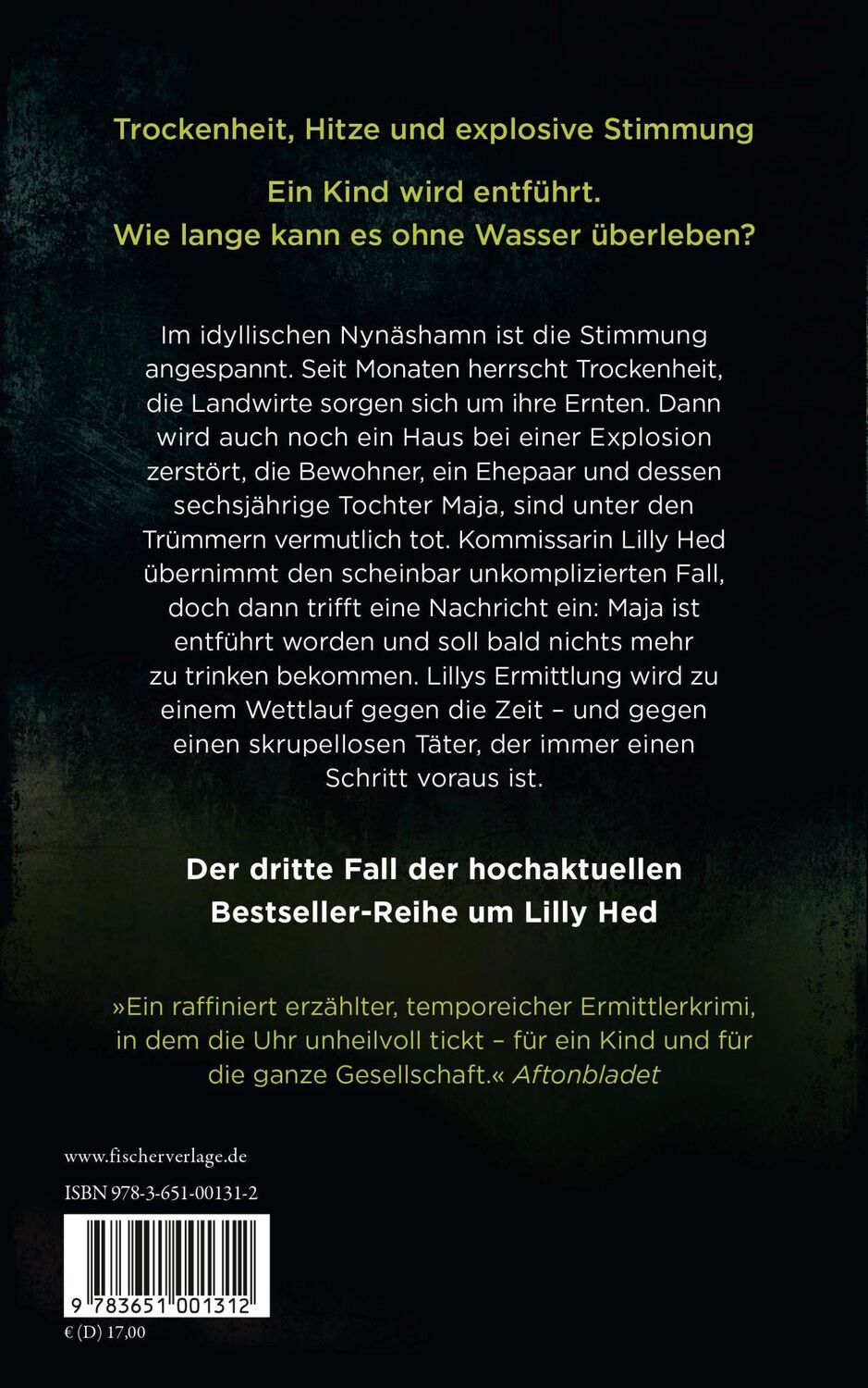 Rückseite: 9783651001312 | In der Erde | Pernilla Ericson | Taschenbuch | Lilly Hed | 480 S.