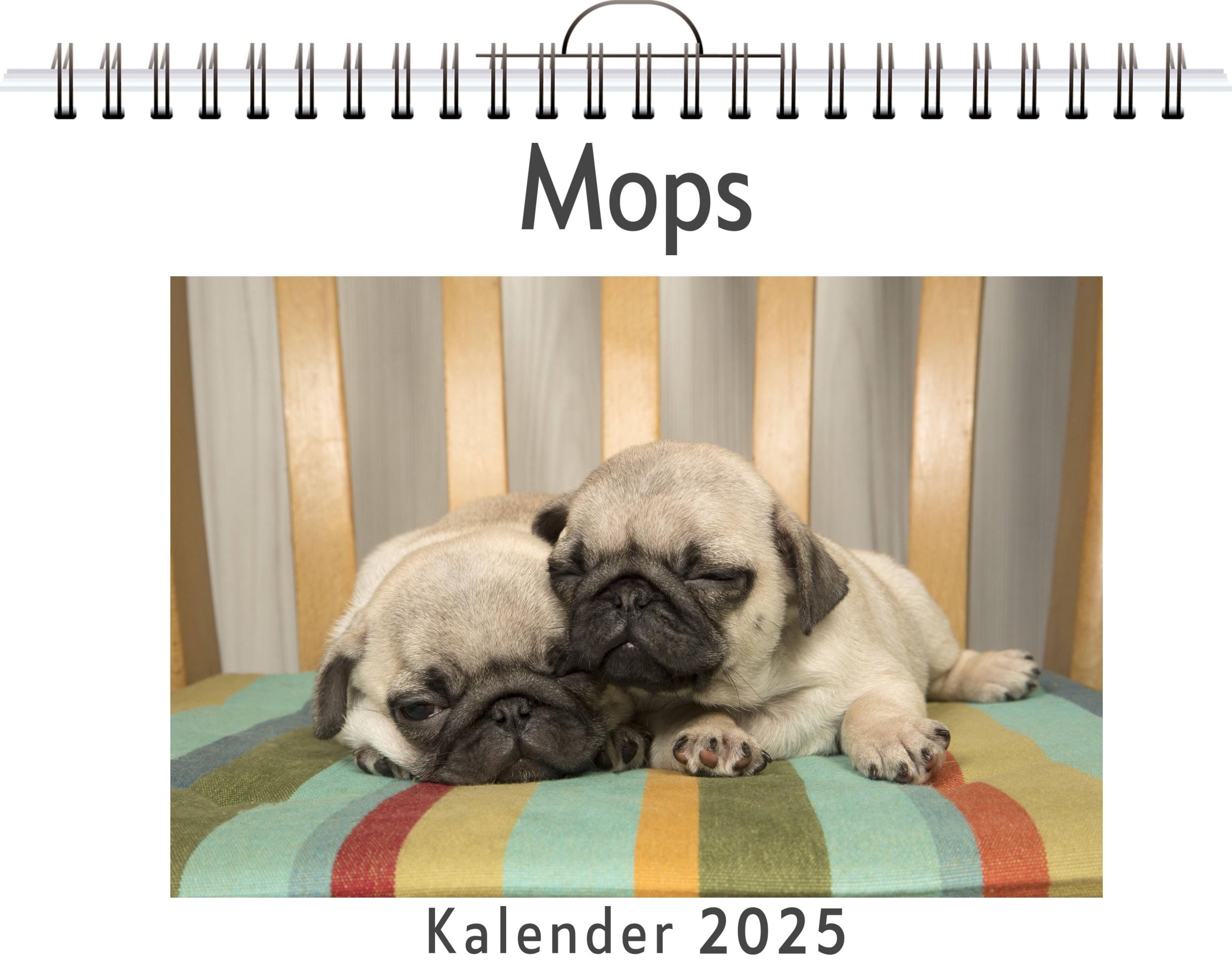 Cover: 9783759120458 | Mops | Anton König | Kalender | Kalender | 14 S. | Deutsch | FlipFlop