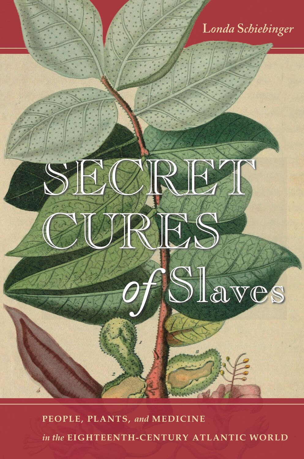 Cover: 9781503602915 | Secret Cures of Slaves | Londa Schiebinger | Taschenbuch | Englisch