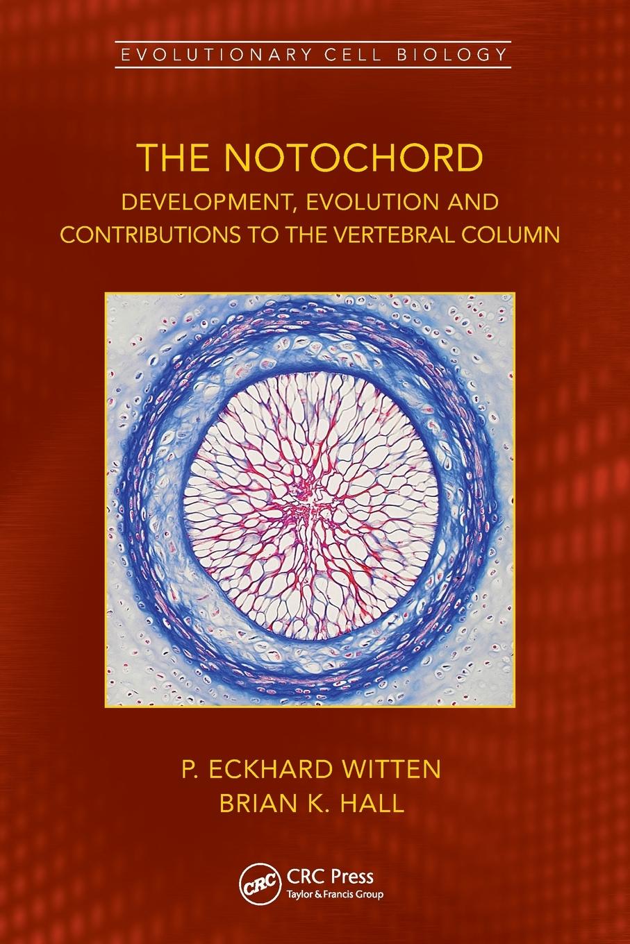 Cover: 9781032162683 | The Notochord | P. Eckhard Witten (u. a.) | Taschenbuch | Englisch