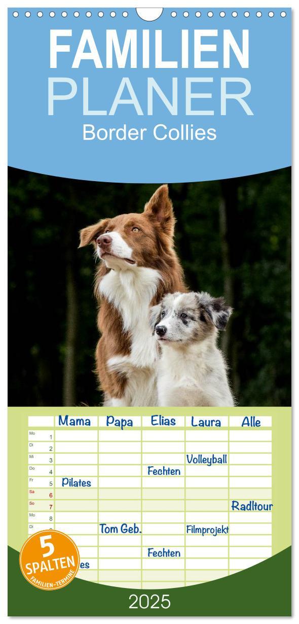 Cover: 9783457120590 | Familienplaner 2025 - Border Collies 2025 mit 5 Spalten...