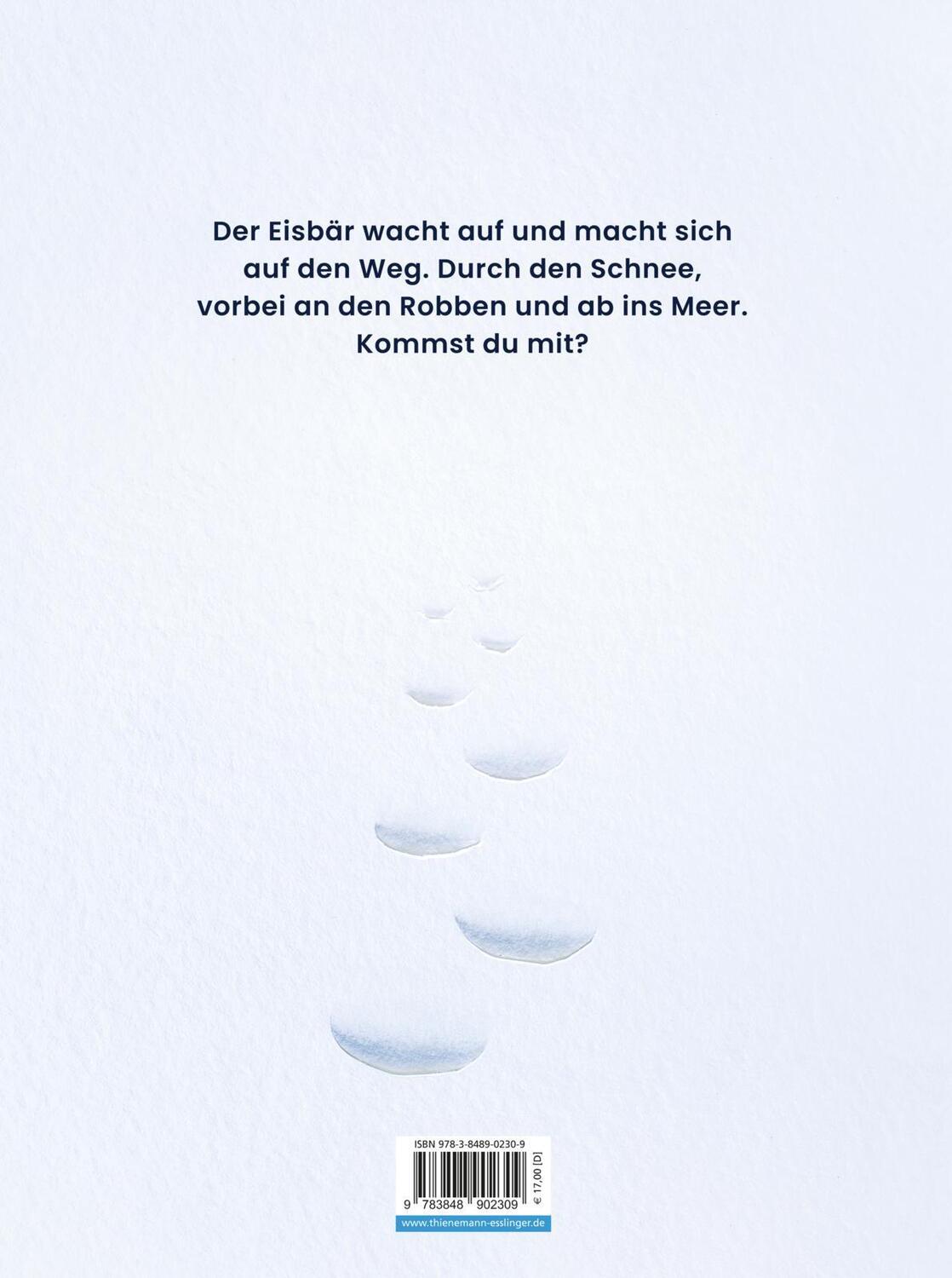 Rückseite: 9783848902309 | Ein Eisbär im Schnee | Besonderes Eisbärenbilderbuch | Mac Barnett