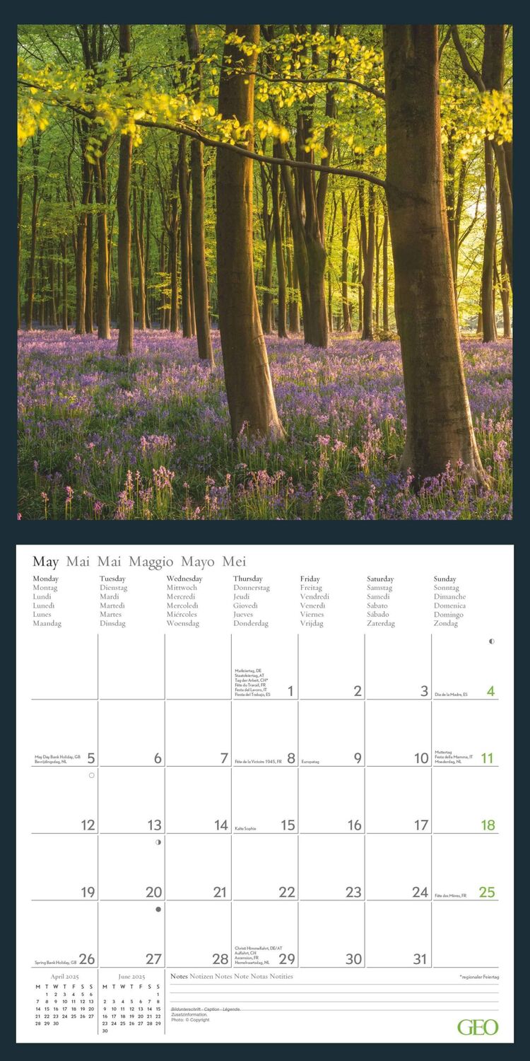 Bild: 4002725988638 | GEO Beautiful World 2025 - Wand-Kalender - Natur-Kalender -...