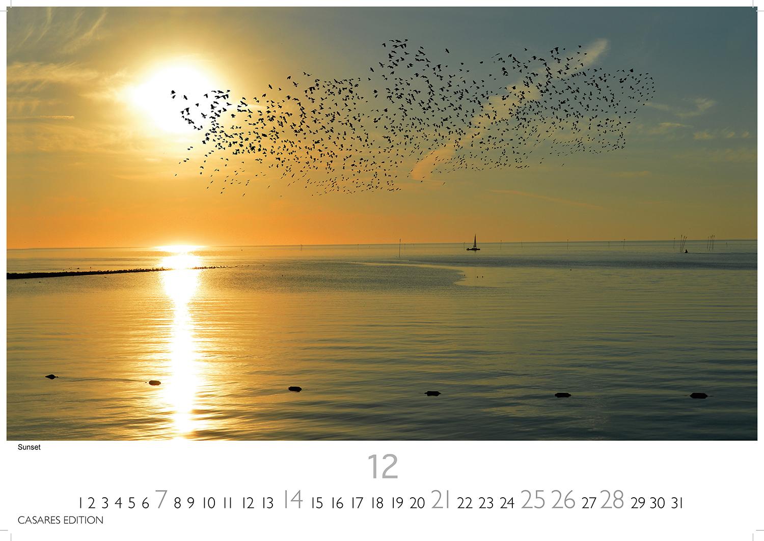 Bild: 9781835242933 | Nordseeküste 2025 S 24x35cm | Kalender | 14 S. | Deutsch | 2025