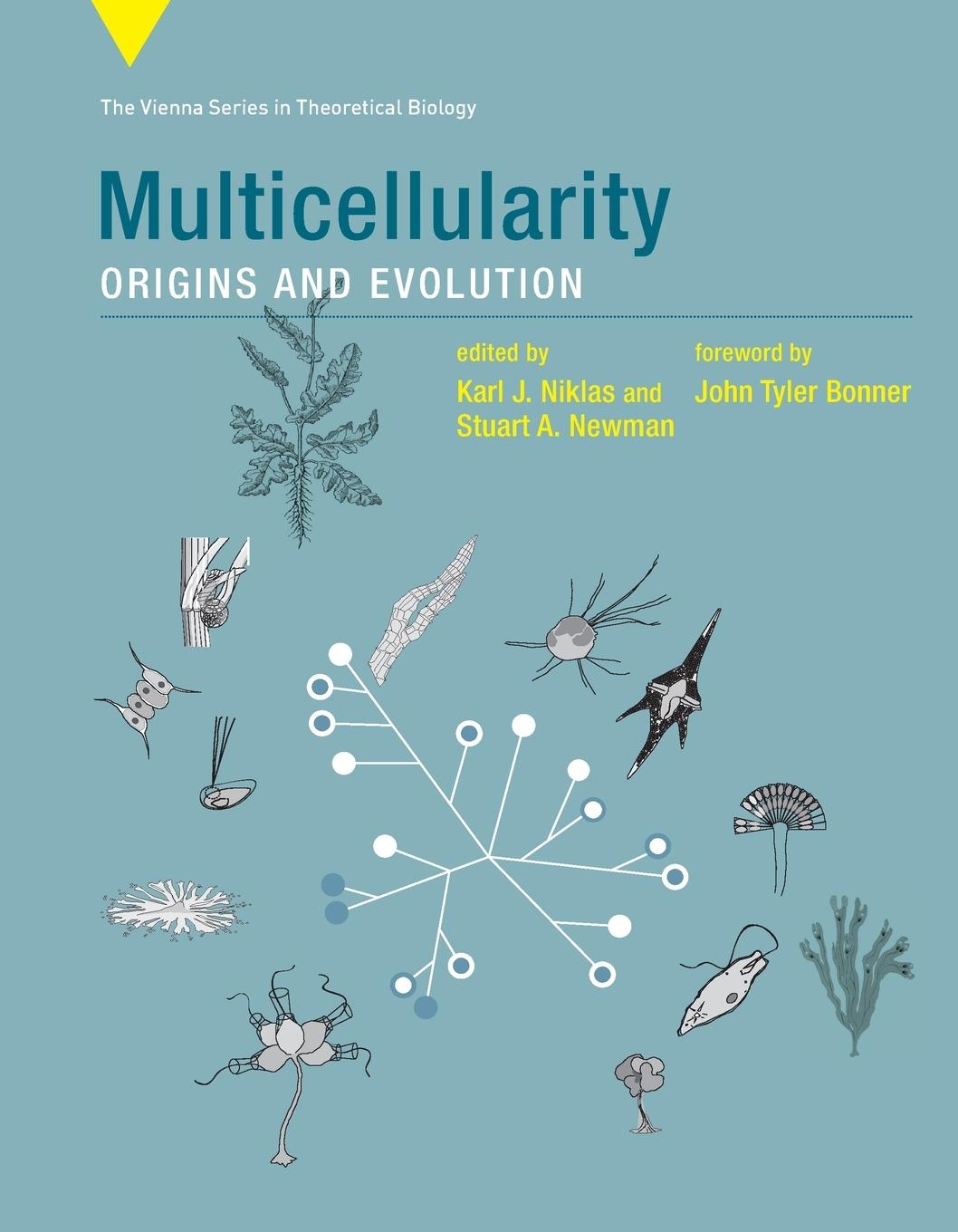 Cover: 9780262545853 | Multicellularity | Origins and Evolution | Karl J. Niklas (u. a.)