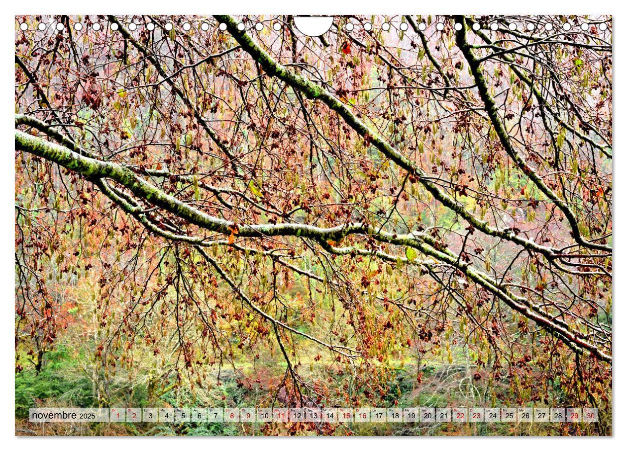 Bild: 9781325938544 | Au c¿ur de la forêt (Calendrier mural 2025 DIN A4 vertical),...