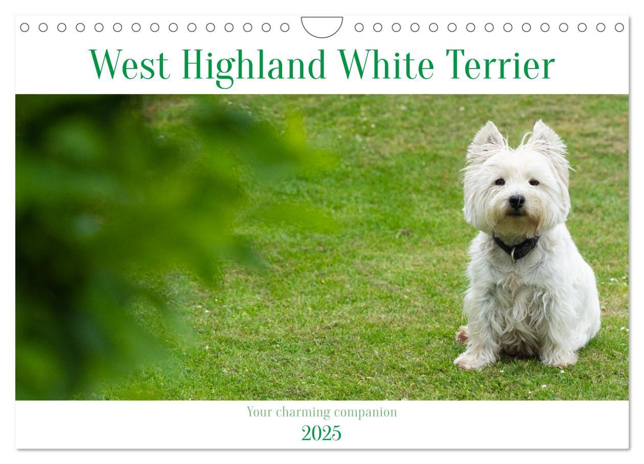 Cover: 9781325930739 | West Highland White Terrier - Your charming companion (Wall...