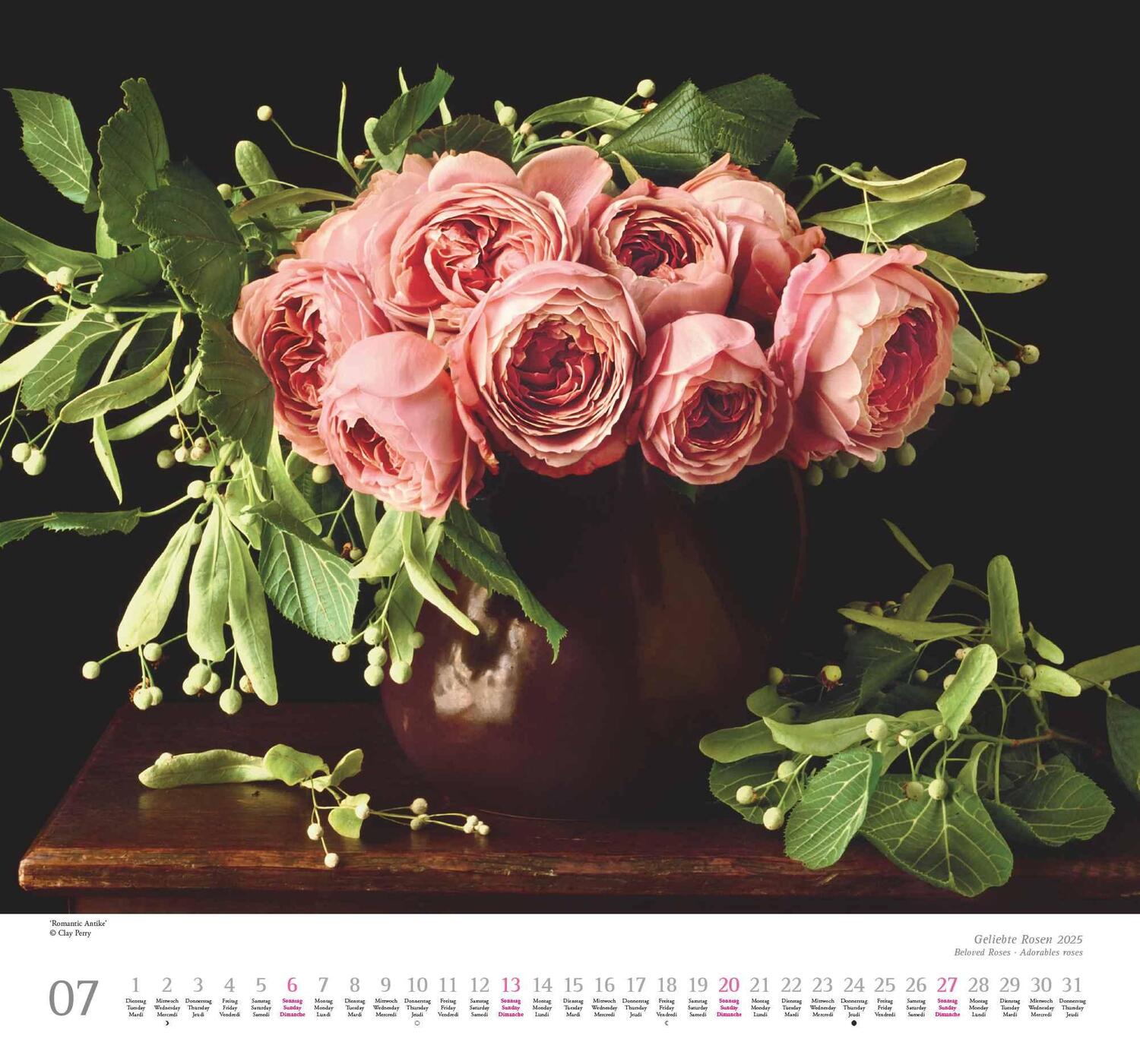 Bild: 4250809653082 | Geliebte Rosen 2025 - DUMONT Wandkalender - mit allen wichtigen...