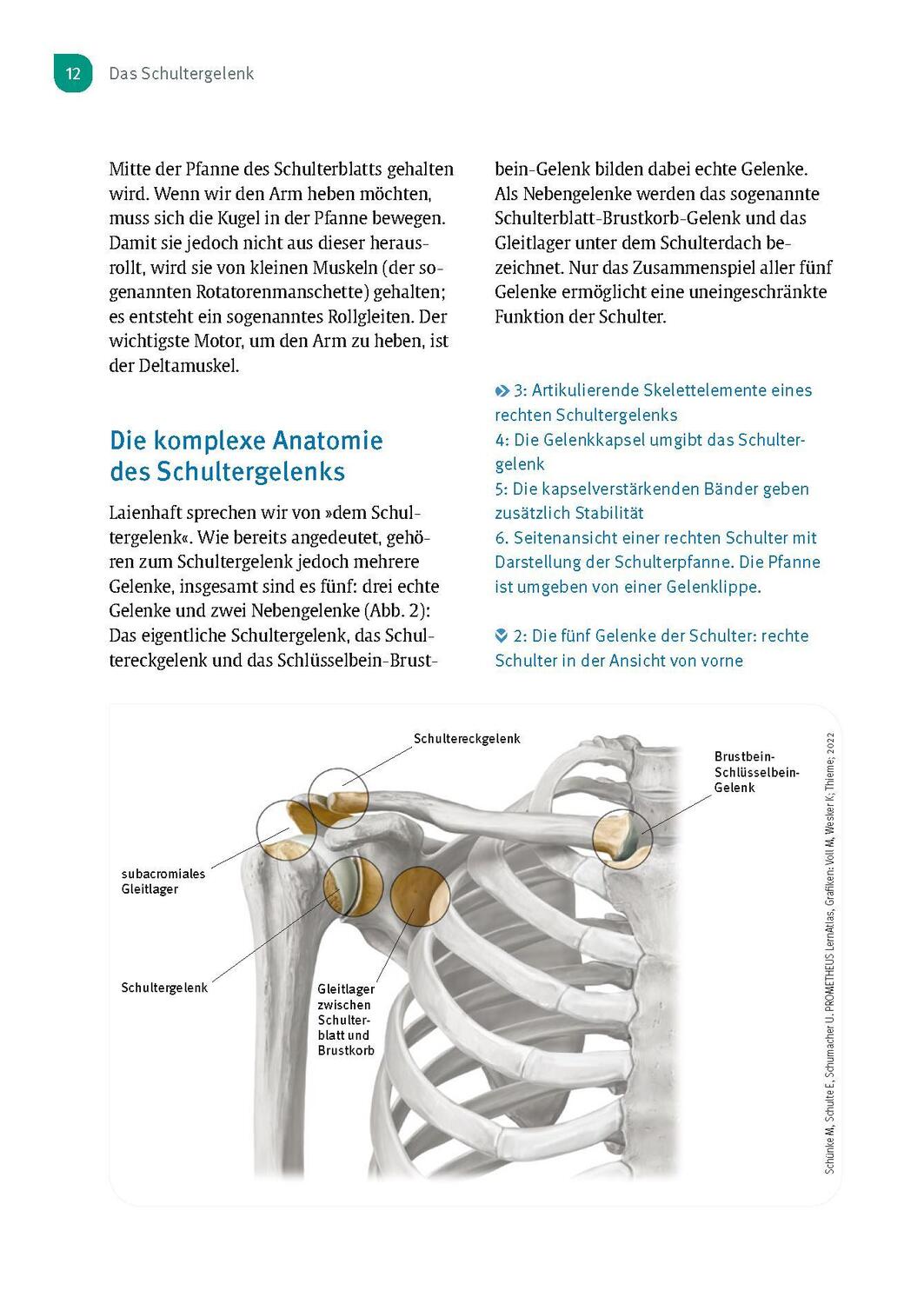 Bild: 9783432117294 | Experten-Sprechstunde Schulter | Marc Schnetzke (u. a.) | Taschenbuch