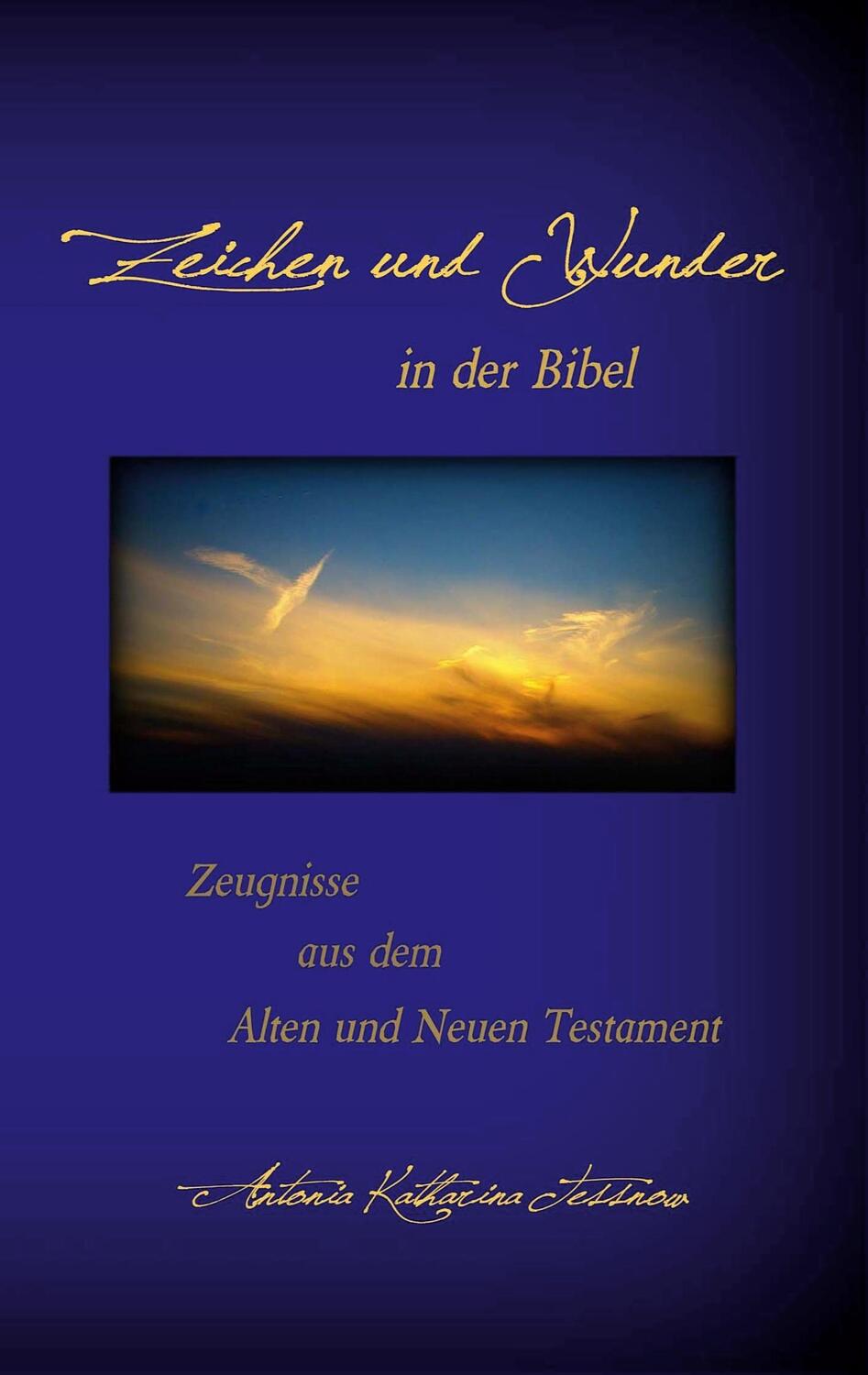 Cover: 9783740772437 | Zeichen und Wunder in der Bibel | Antonia Katharina Tessnow | Buch