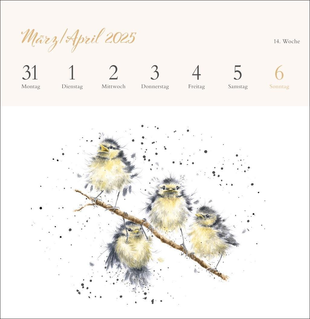 Bild: 9783756408641 | Hannah Dale: Happy Animals Premium-Postkartenkalender 2025 | Kalender