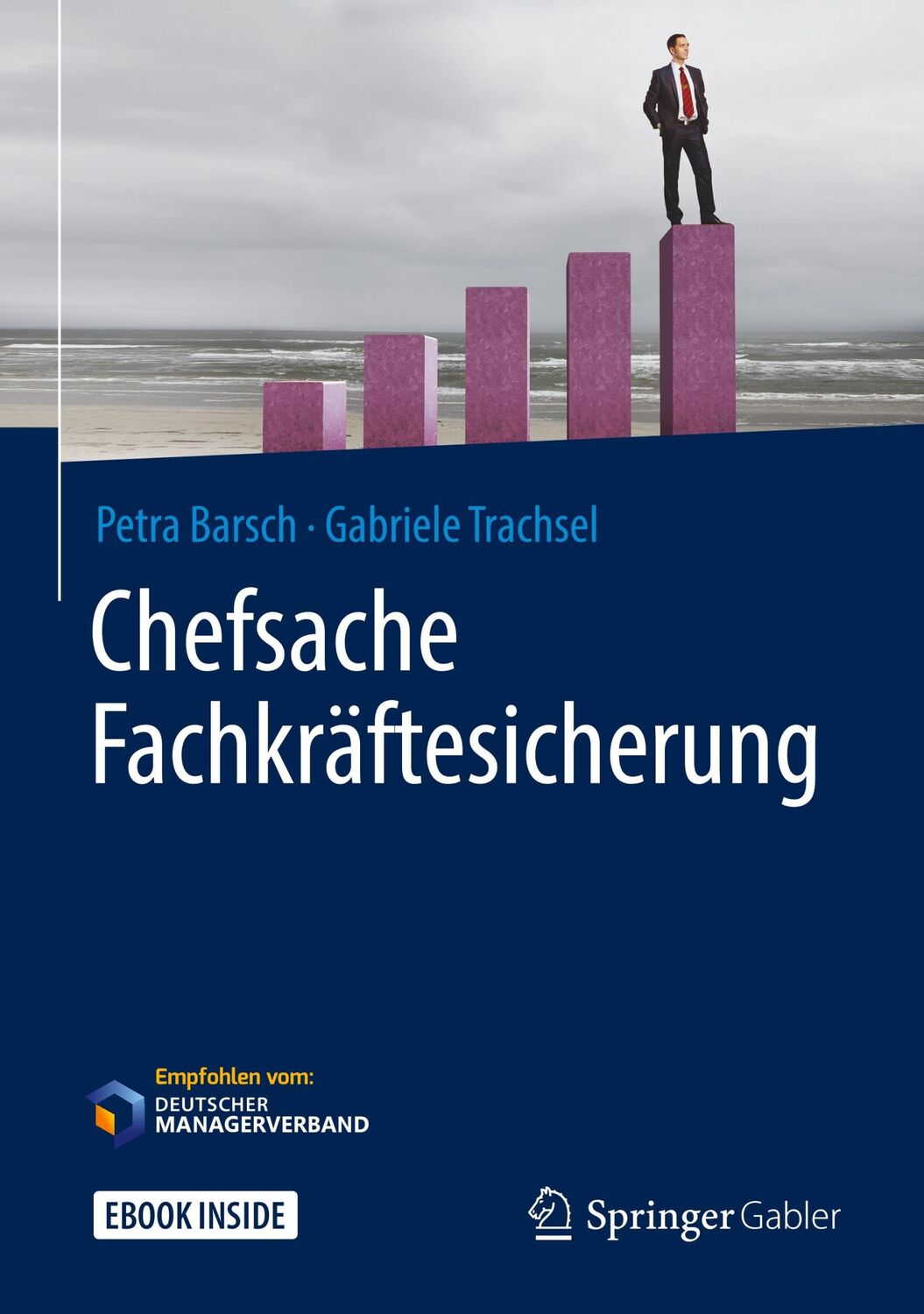 Cover: 9783658172718 | Chefsache Fachkräftesicherung | Petra Barsch (u. a.) | Buch | xiv