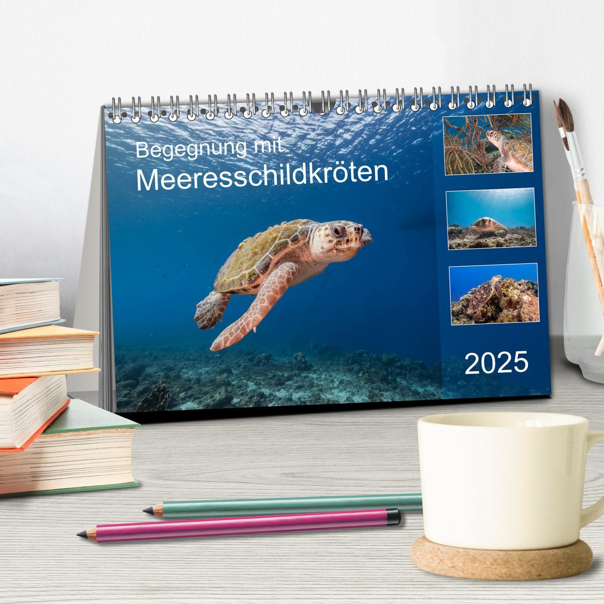 Bild: 9783435201600 | Begegnung mit Meeresschildkröten (Tischkalender 2025 DIN A5 quer),...