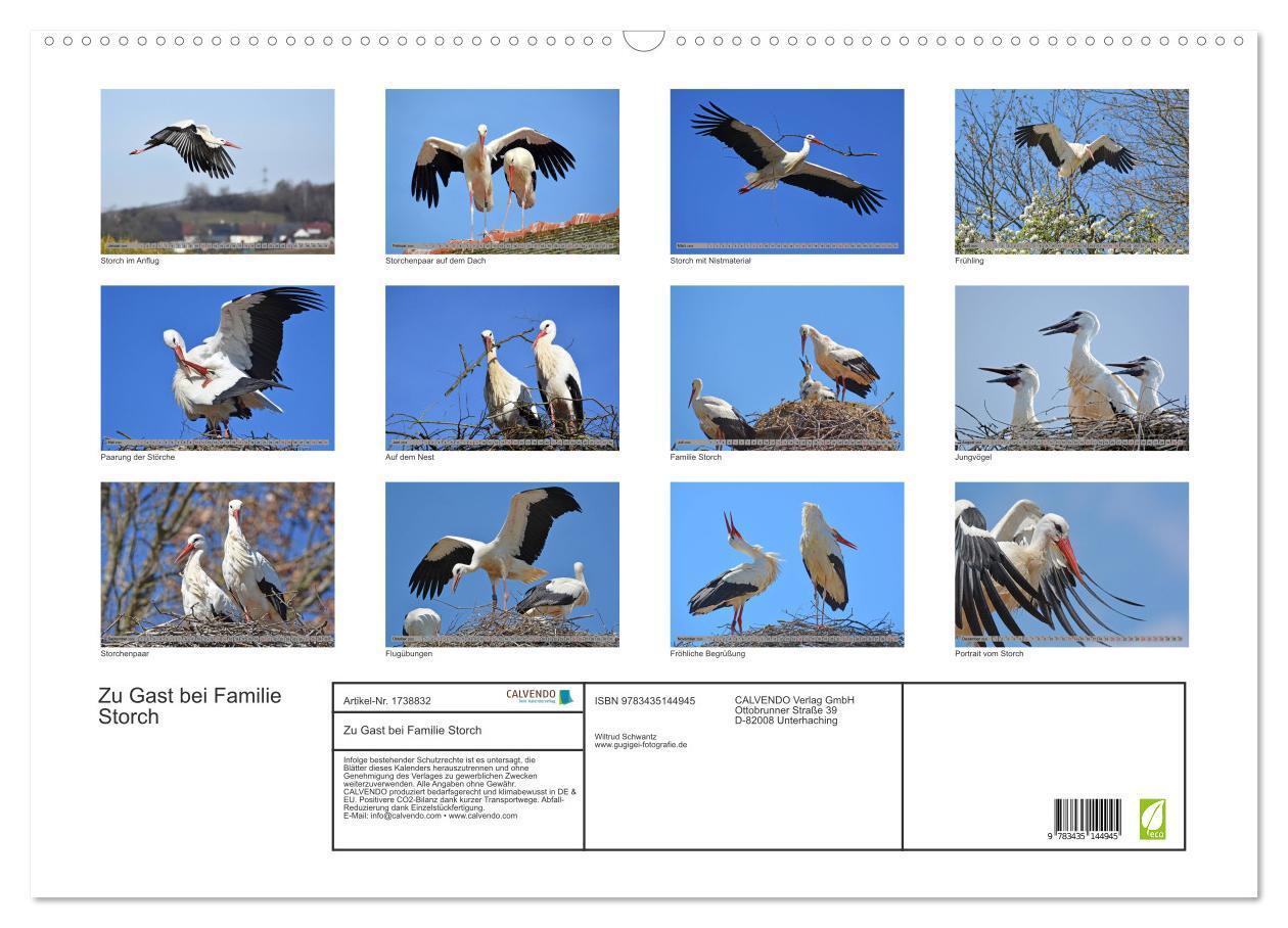 Bild: 9783435144945 | Zu Gast bei Familie Storch (Wandkalender 2025 DIN A2 quer),...