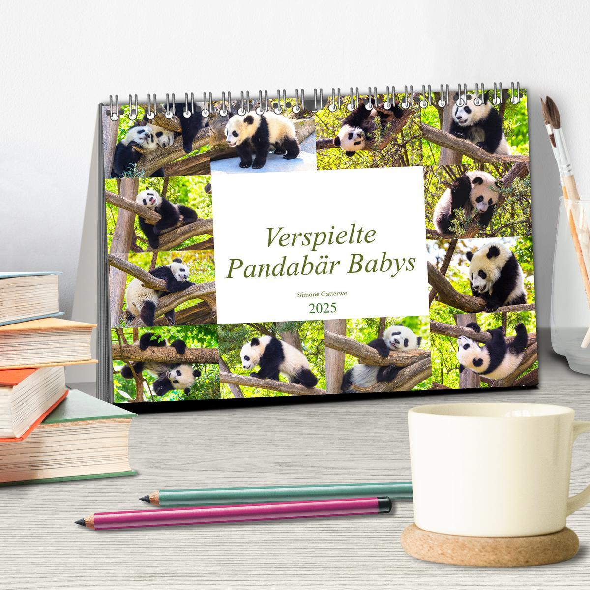 Bild: 9783435266395 | Pandabär Babys (Tischkalender 2025 DIN A5 quer), CALVENDO...