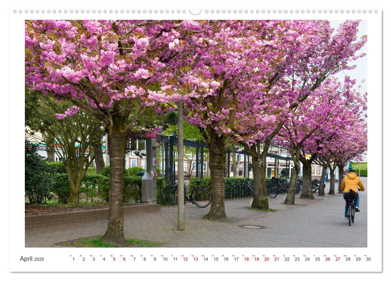 Bild: 9783457145913 | Buntes und blühendes Borkum (Wandkalender 2025 DIN A2 quer),...