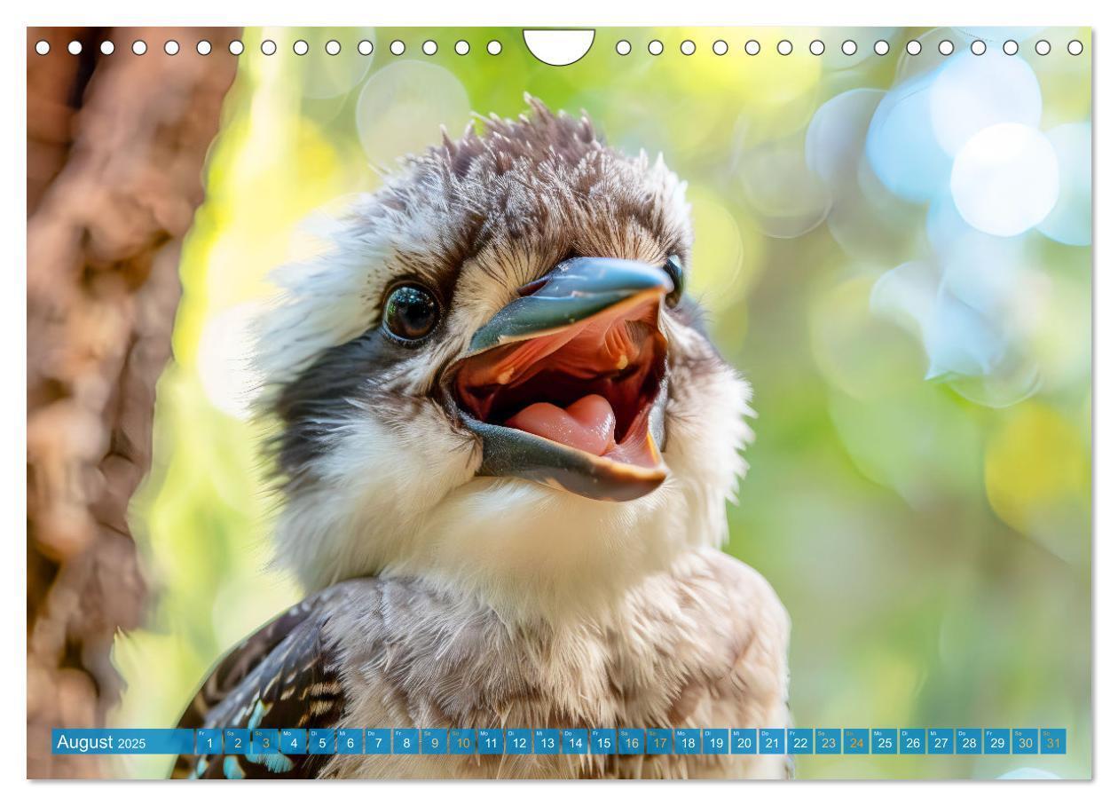 Bild: 9783383777875 | Der Kookaburra - Im australischen Busch mit dem lachenden Hans...