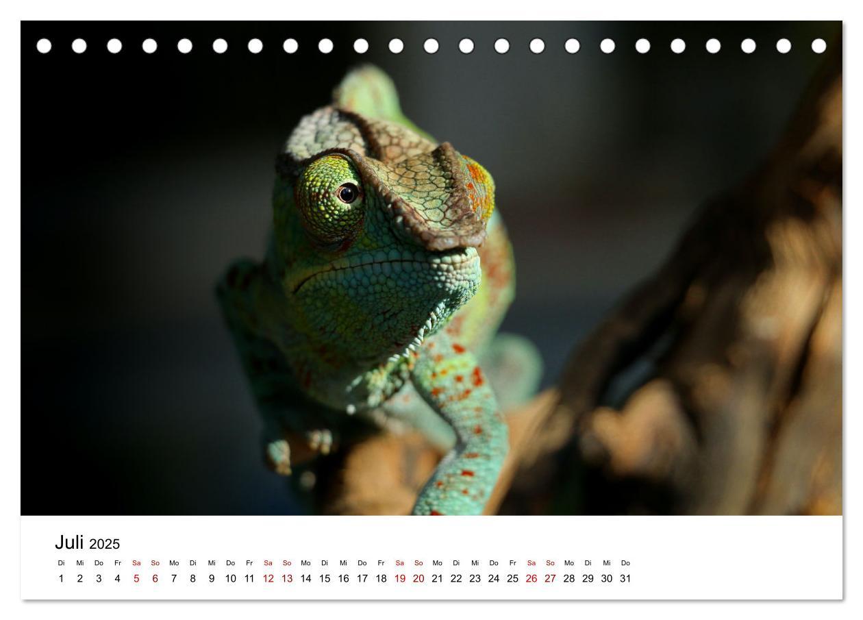 Bild: 9783383997129 | Naturparadies Madagaskar (Tischkalender 2025 DIN A5 quer), CALVENDO...