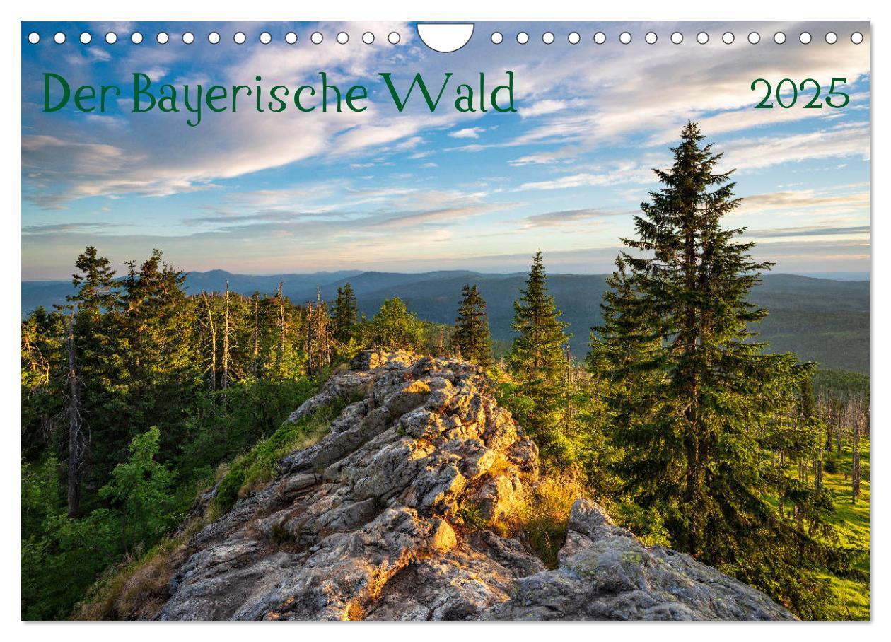 Cover: 9783435194247 | Der Bayerische Wald (Wandkalender 2025 DIN A4 quer), CALVENDO...