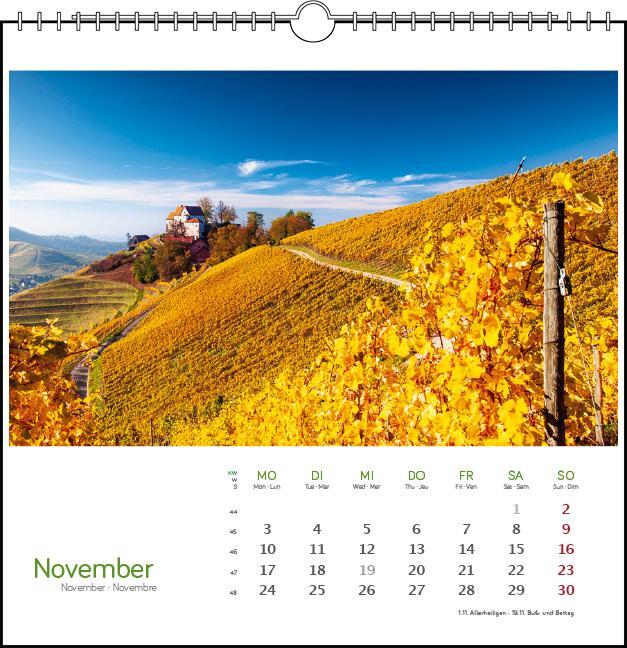 Bild: 9783861924135 | Schwarzwald 2025 | Postkarten-Tischkalender | Clemens Emmler | 13 S.