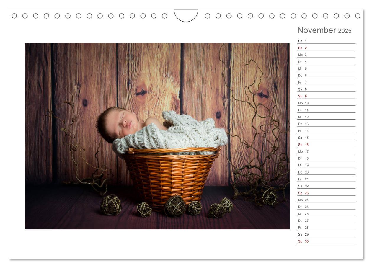 Bild: 9783435438419 | Aller Anfang ist klein - Babykalender mit Noah (Wandkalender 2025...