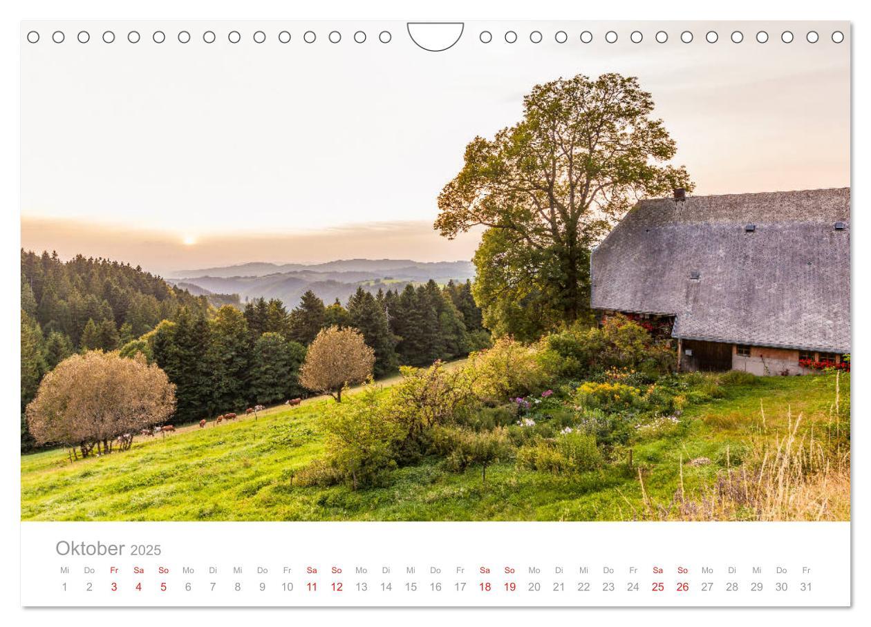 Bild: 9783435299607 | Der Schwarzwald Impressionen (Wandkalender 2025 DIN A4 quer),...