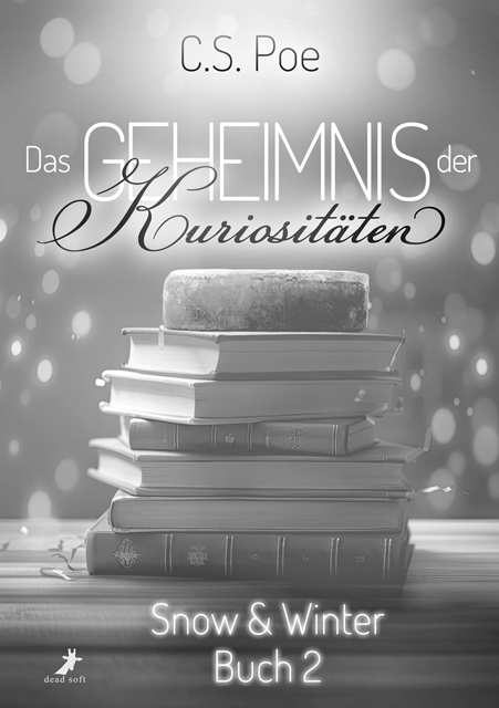 Cover: 9783960896111 | Das Geheimnis der Kuriositäten | Snow und Winter 2 | C.S. Poe | Buch