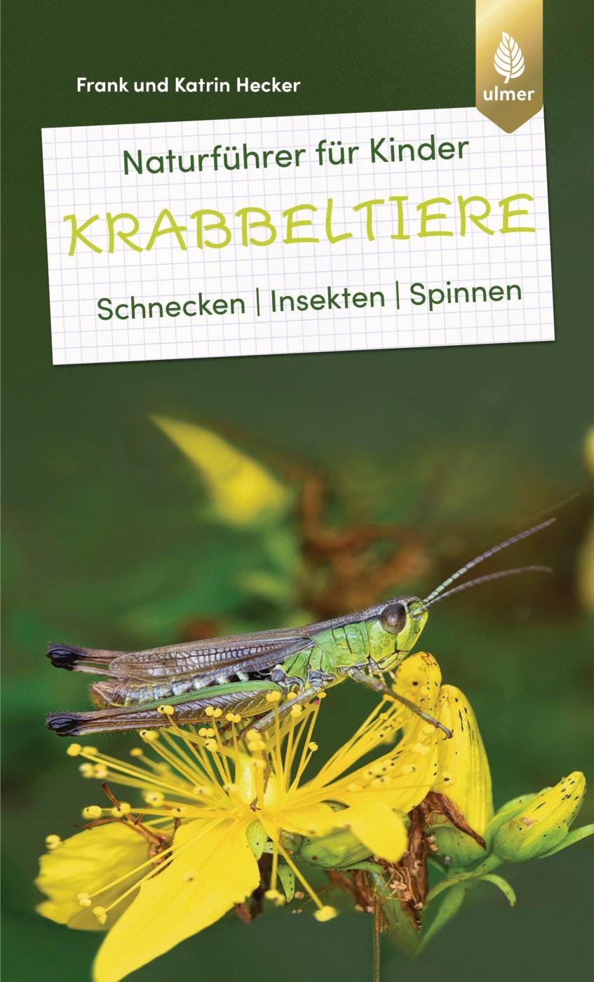 Cover: 9783818616090 | Naturführer für Kinder: Krabbeltiere | Schnecken, Insekten, Spinnen