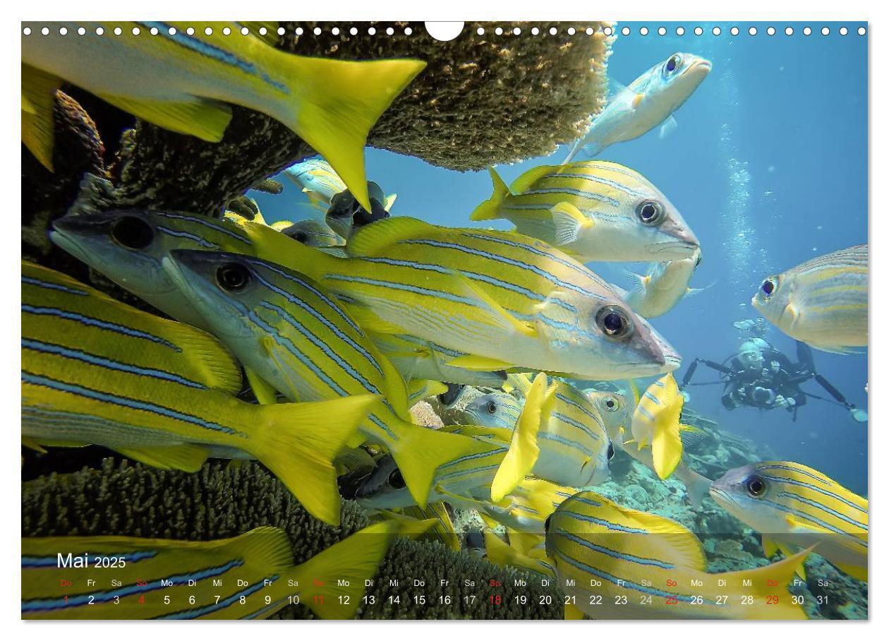 Bild: 9783435619733 | Malediven Impressionen aus dem Paradies (Wandkalender 2025 DIN A3...