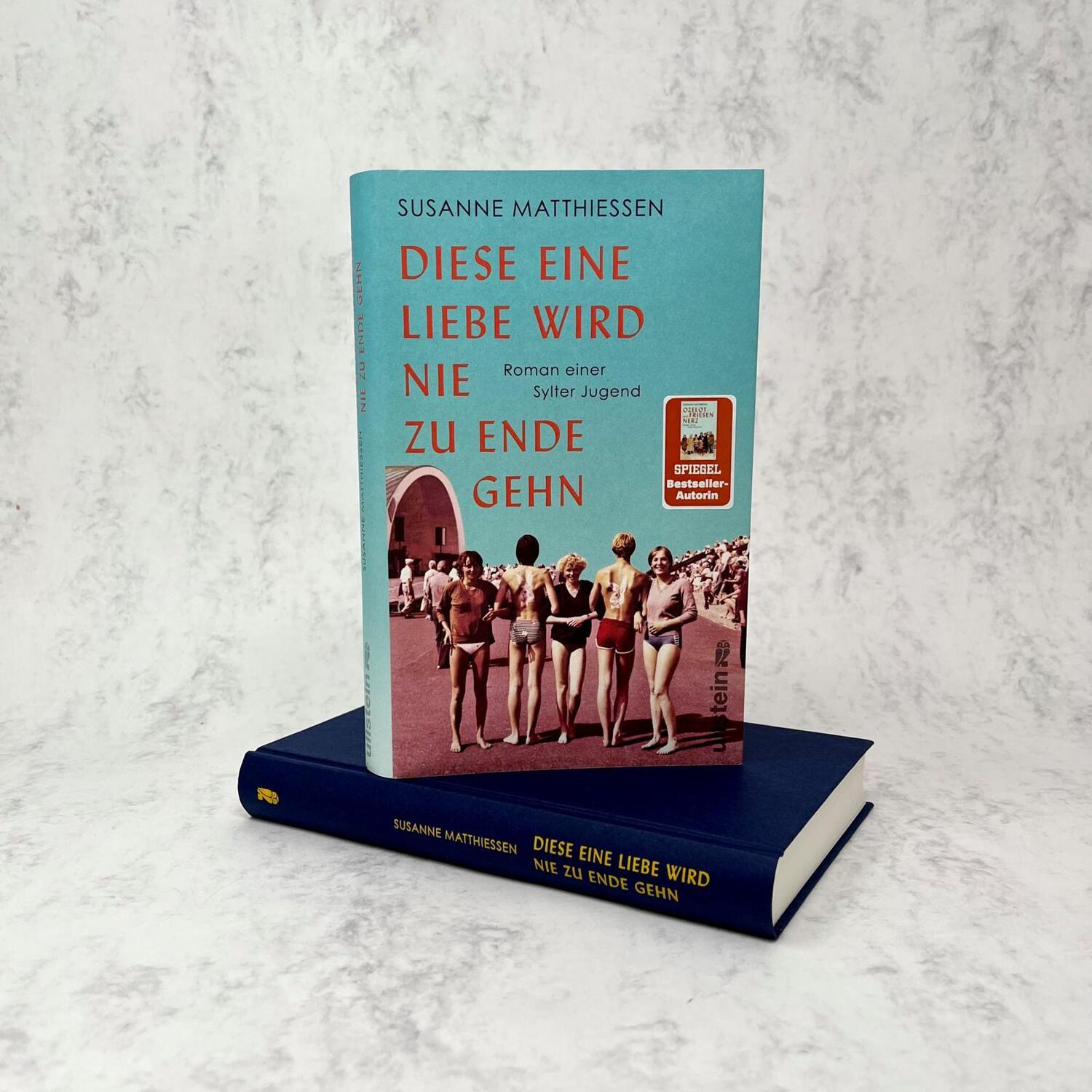 Bild: 9783550201912 | Diese eine Liebe wird nie zu Ende gehn | Susanne Matthiessen | Buch