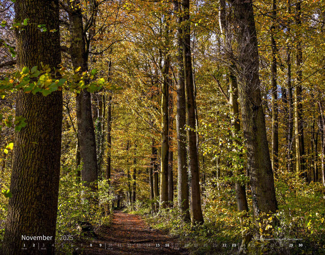 Bild: 9783862923427 | Wandern 2025 Großformat-Kalender 58 x 45,5 cm | Hiking 2025 | Verlag