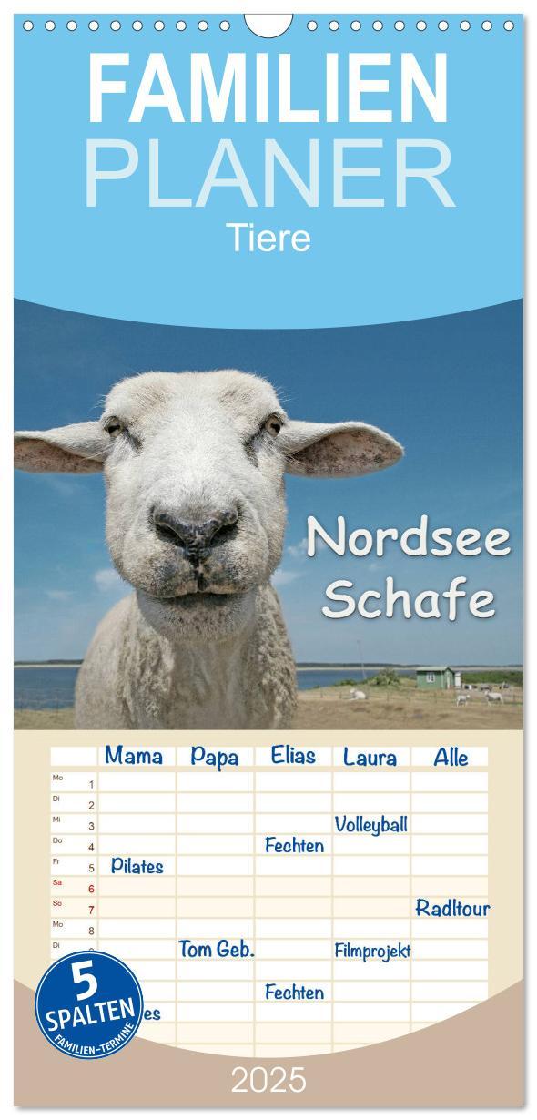 Cover: 9783457120606 | Familienplaner 2025 - Nordsee Schafe mit 5 Spalten (Wandkalender,...