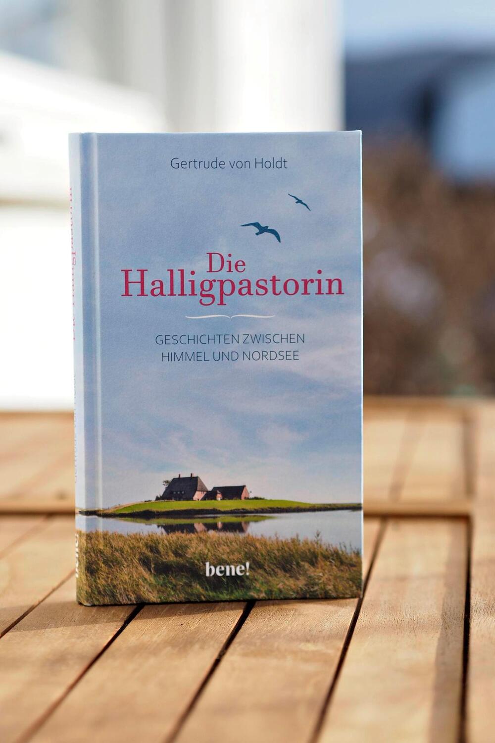 Bild: 9783963401800 | Die Halligpastorin | Geschichten zwischen Himmel und Nordsee | Holdt