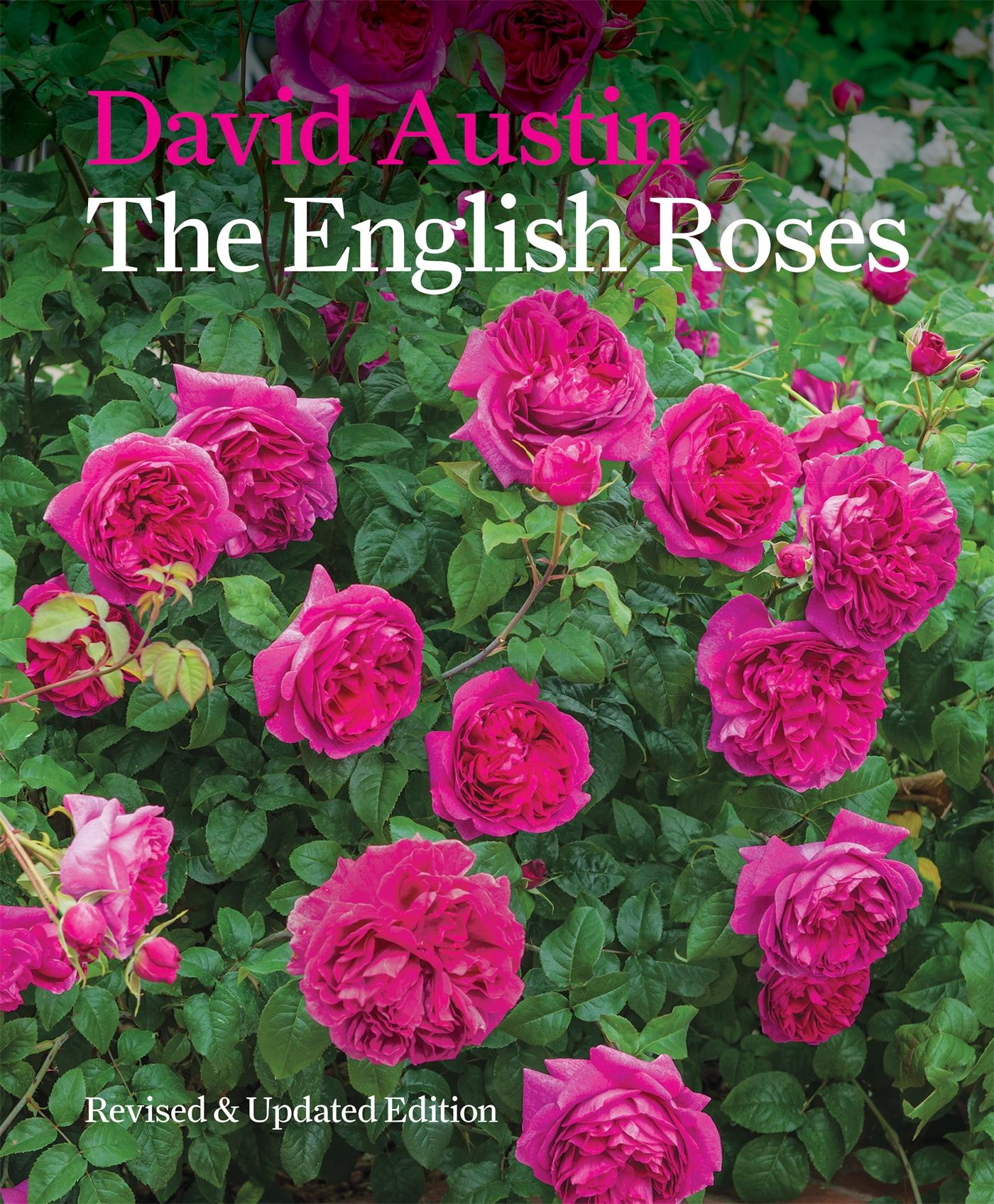 Cover: 9781840917512 | The English Roses | David Austin | Buch | Gebunden | Englisch | 2017