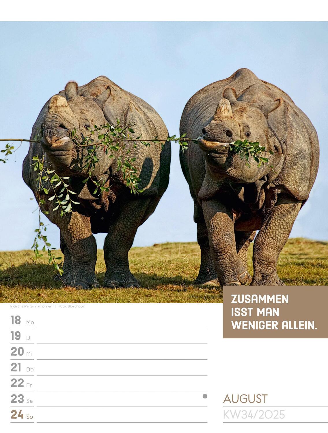 Bild: 9783838425962 | Tierisch! Sprüchekalender - Wochenplaner Kalender 2025 | Kunstverlag