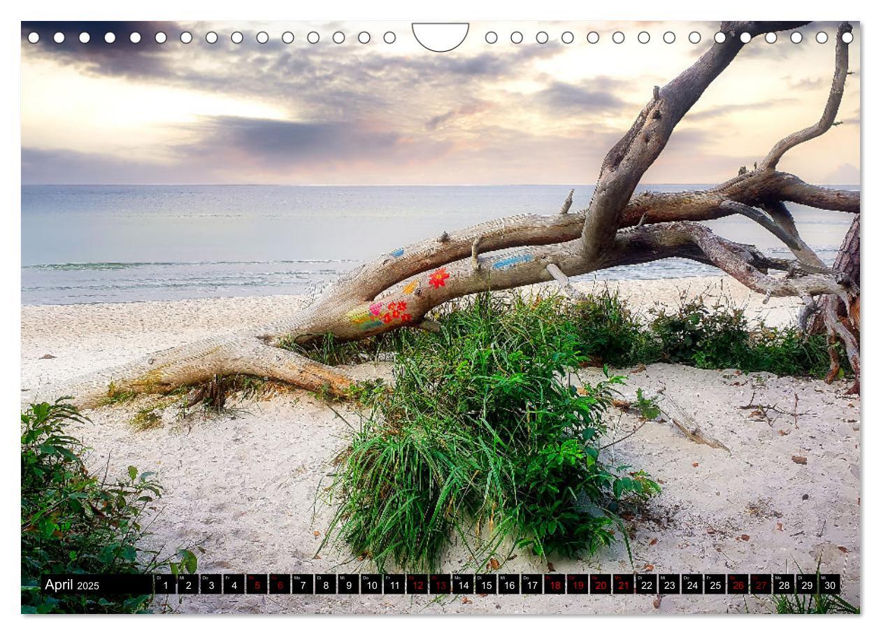 Bild: 9783435024179 | Fischland - Darß- Zingst (Wandkalender 2025 DIN A4 quer), CALVENDO...