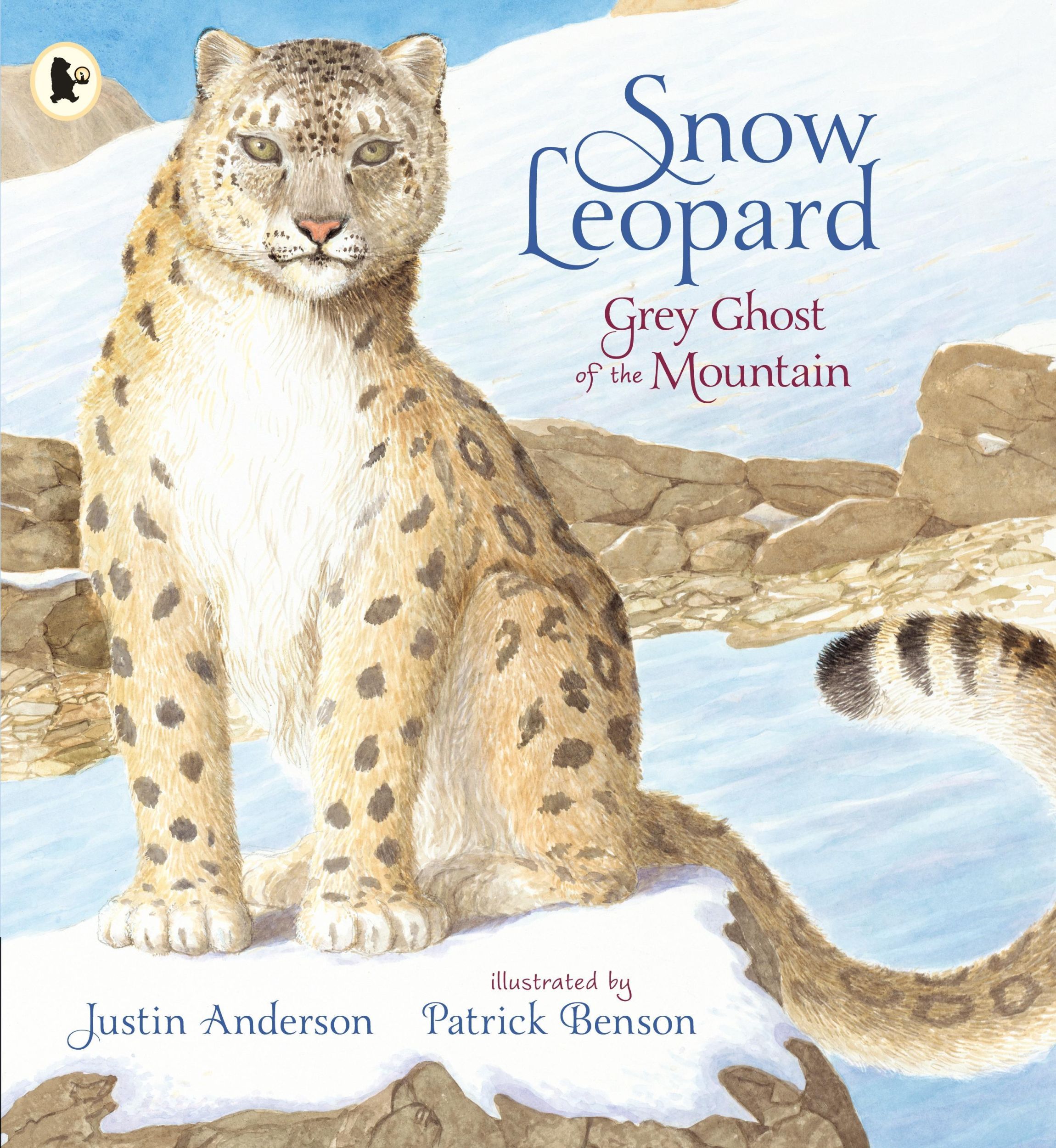 Cover: 9781406391985 | Snow Leopard: Grey Ghost of the Mountain | Justin Anderson | Buch