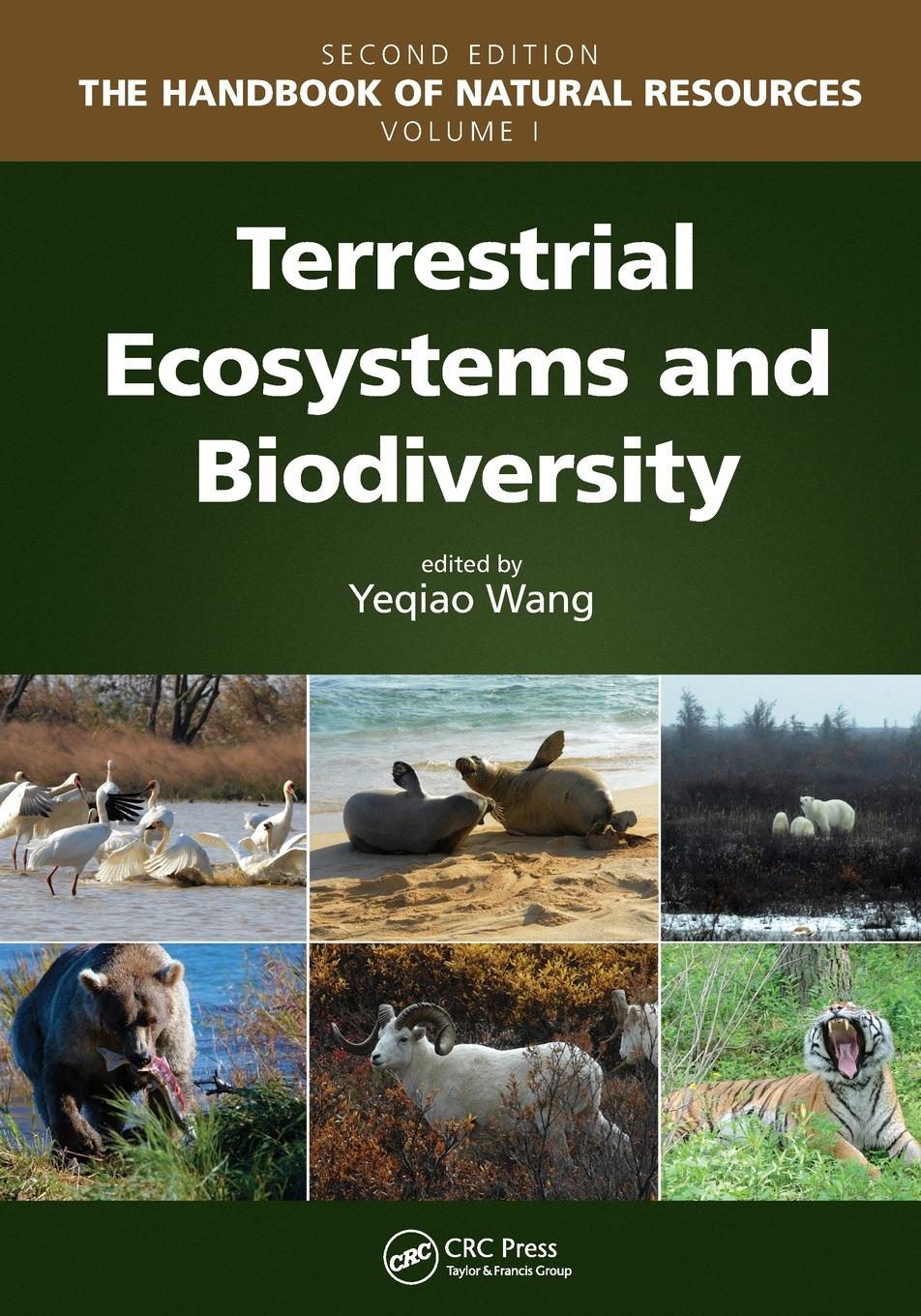 Cover: 9781032474427 | Terrestrial Ecosystems and Biodiversity | Yeqiao Wang | Taschenbuch