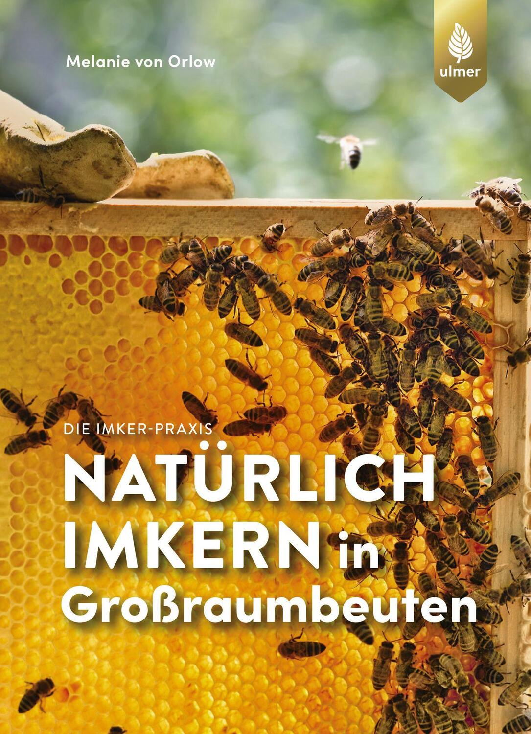 Cover: 9783818611477 | Natürlich imkern in Großraumbeuten | Melanie von Orlow | Taschenbuch