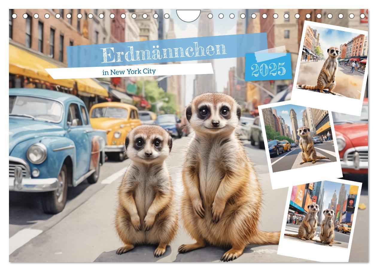 Cover: 9783383797880 | Erdmännchen in New York City (Wandkalender 2025 DIN A4 quer),...