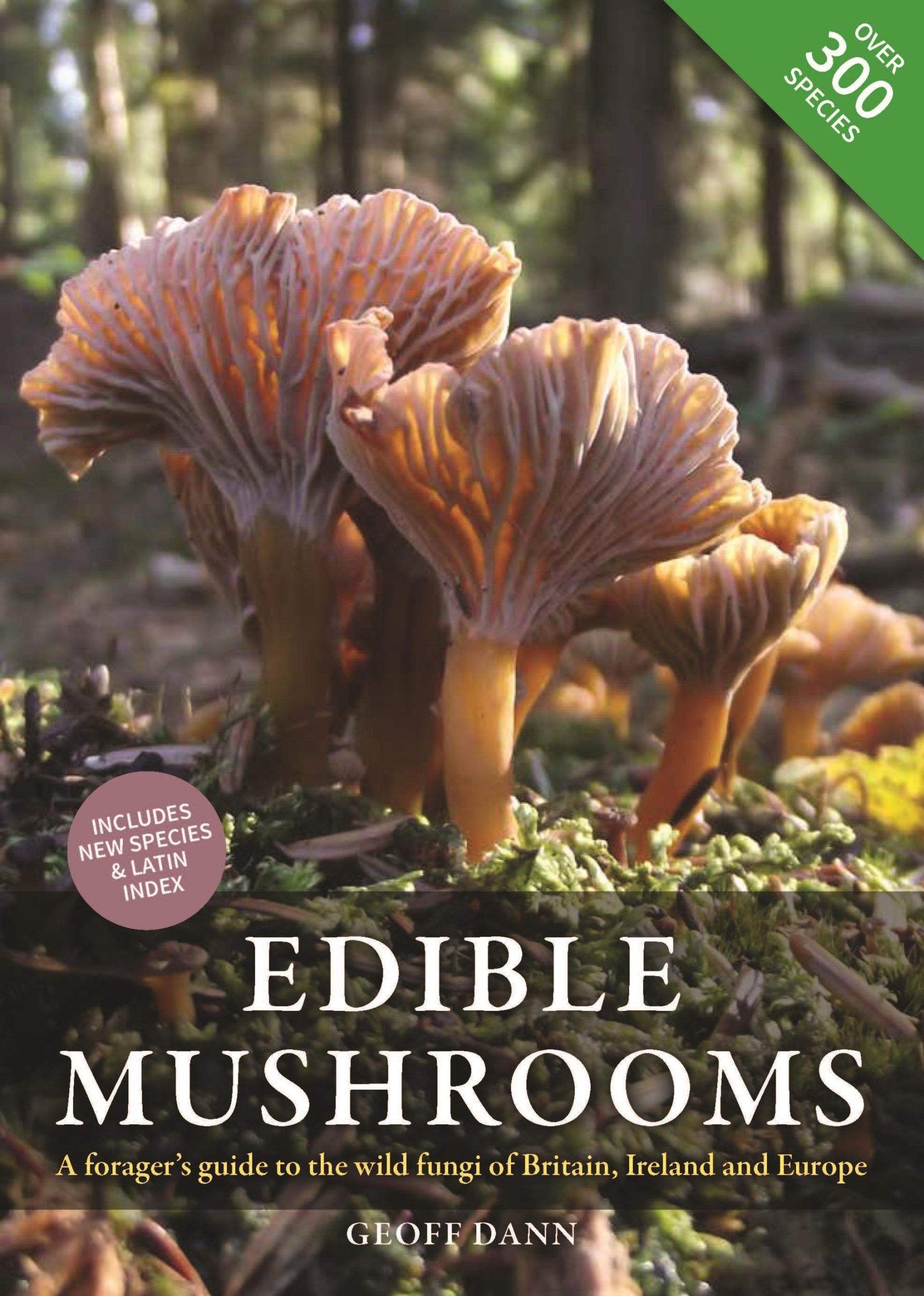 Cover: 9780857844590 | Edible Mushrooms: A Forager's Guide to the Wild Fungi of Britain,...